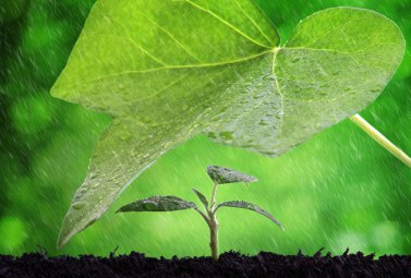 UniTrust | Panama  UniTrust | Panama