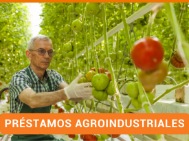 Préstamos Empresariales | Financiamiento a Empresas | Préstamos en Panamá | Agroindustrial Préstamos Empresariales | Financiamiento a Empresas | Préstamos en Panamá | Agroindustrial