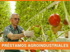 Préstamos Empresariales | Financiamiento a Empresas | Préstamos en Panamá | Agroindustrial