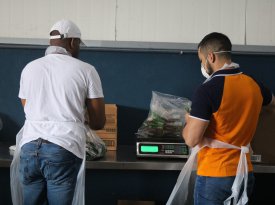 Jornada de Voluntariado en el Banco de Alimentos de Panamá